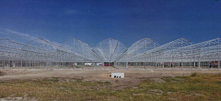 GREEN CITY GROWERS HYDROPONIC GREENHOUSE 